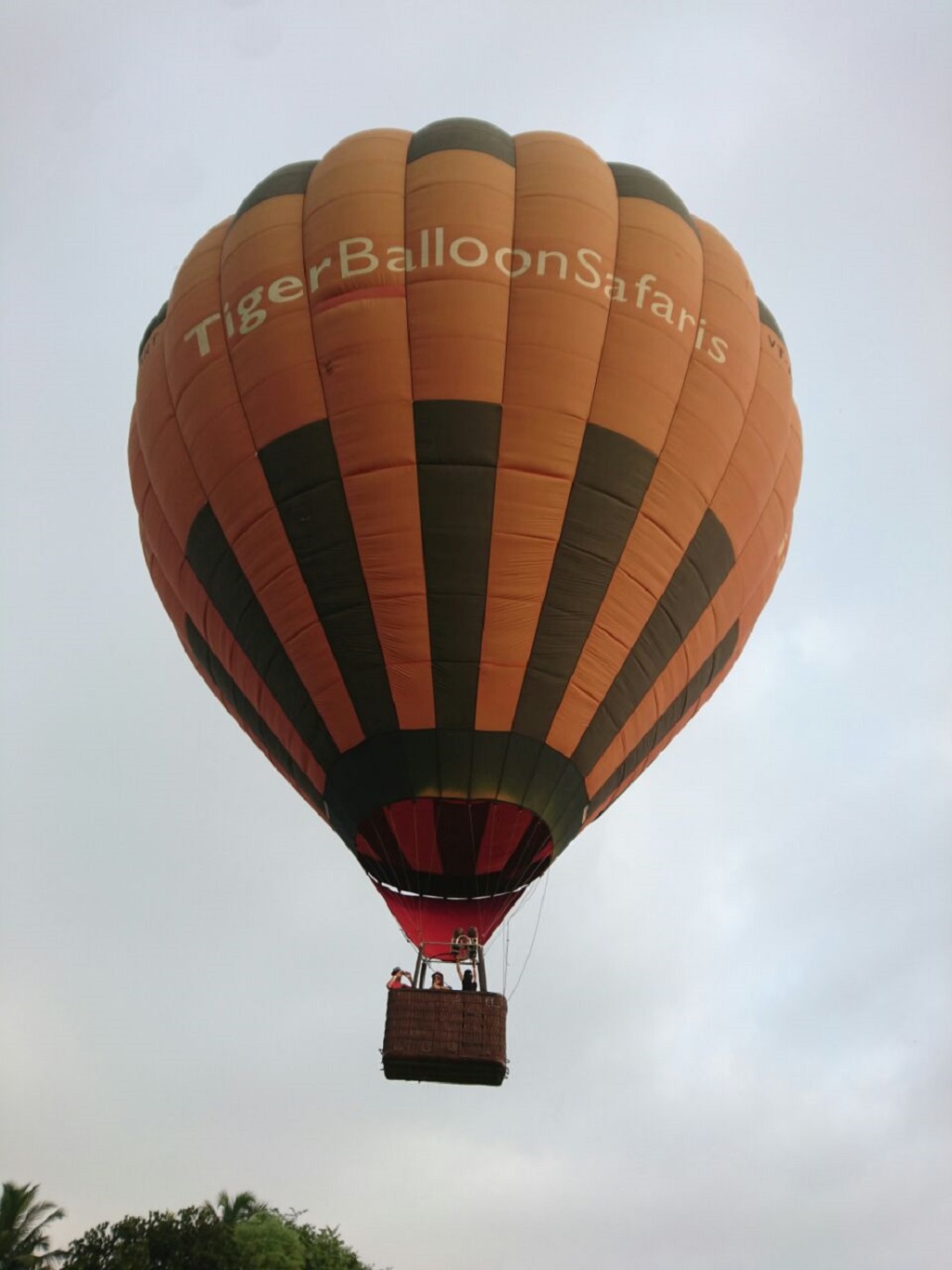 hot-air-ballooning-adventure-services-re-commences-in-goa-4